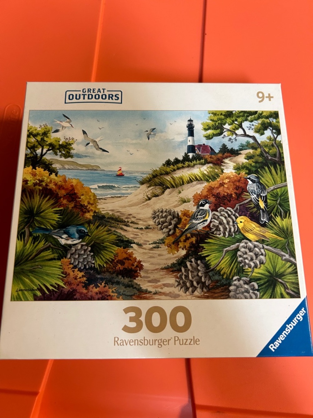 Ravensburger 300-Piece Great Outdoors Puzzle - Blue, Green, Yellow, Brown